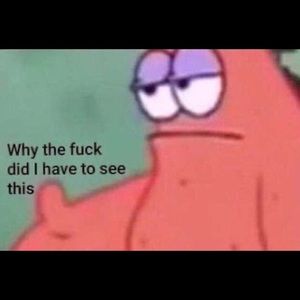 Meet your Posher, Joey